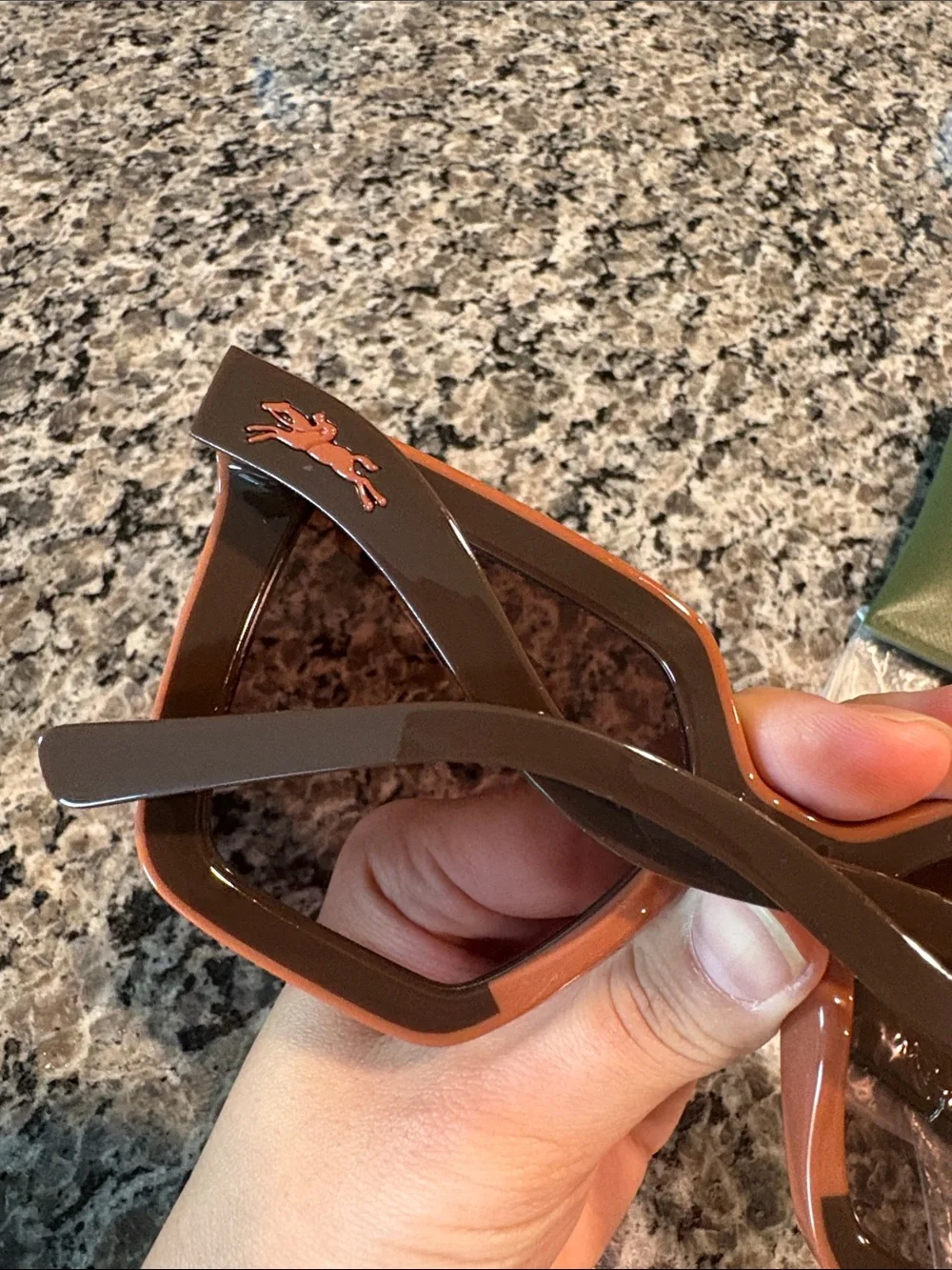 Longchamp nwt oversized